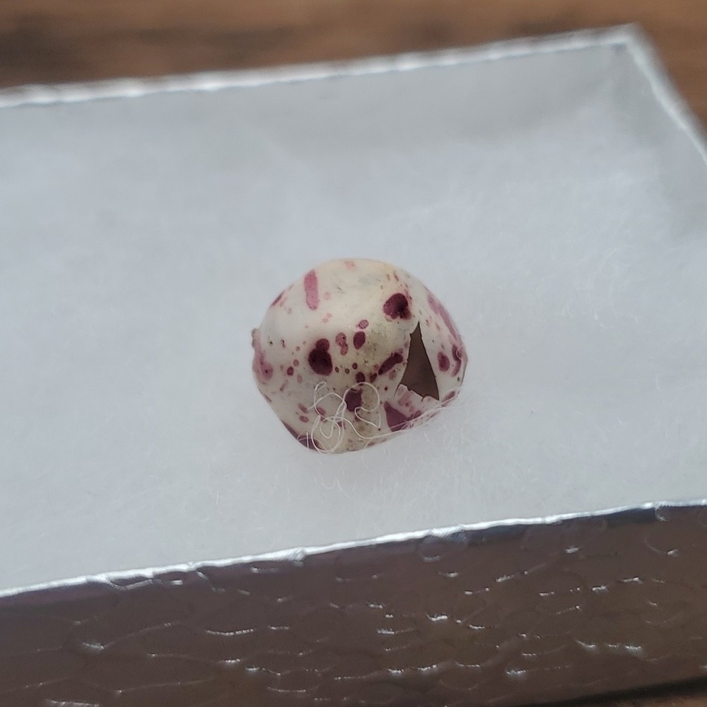 Speckled‎ egg Nugget bead